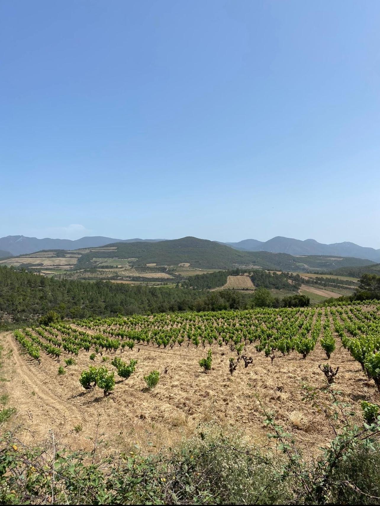 Liberte 1 - T2 Proche Gare Et Centre Commercial Polygone- Beziers- Wifi- Tv Connecte Εξωτερικό φωτογραφία